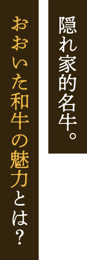 おおいた和牛の魅力とは？